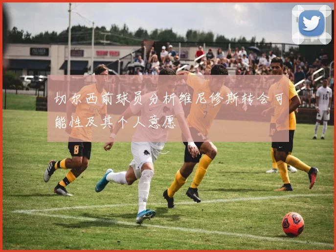 切尔西前球员分析维尼修斯转会可能性及其个人意愿