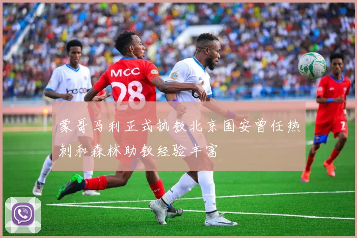 蒙哥马利正式执教北京国安曾任热刺和森林助教经验丰富